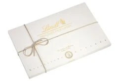 Lindt Excellence 70% Mini 70 Täfelchen X 5,5 G (385 G) -Lebensmittelgeschäft b6397045 dea0 4365 b283 960d80d43a43 3