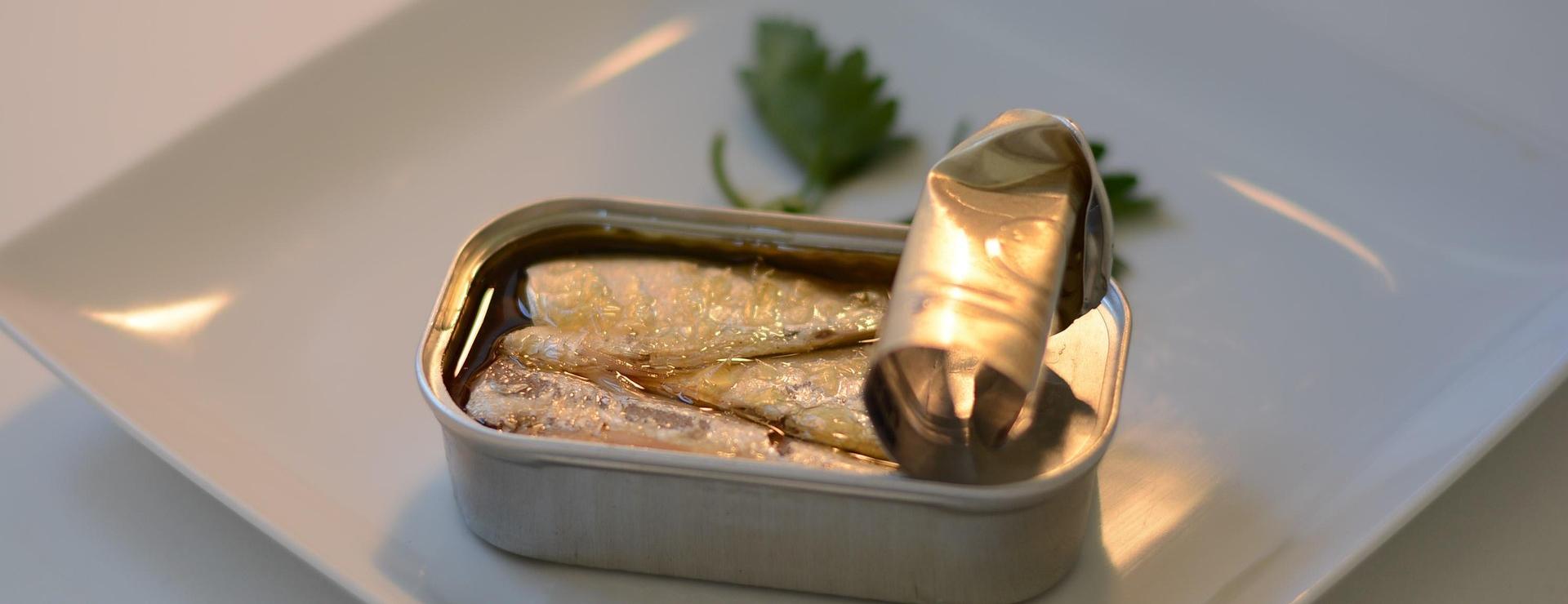 Lebensmittelgeschäft -Lebensmittelgeschäft sardines 825606 1920